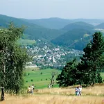 Edelweiss De Luxe Mit Hotelanbindung, Saunalandschaft Und Meinecardplus *