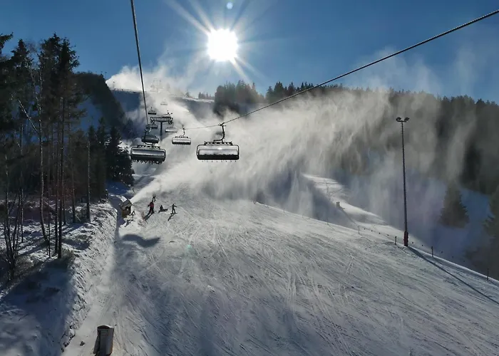 Villa EDELWEISS de luxe inkl Wellness-Spa und MeineCardPLus *