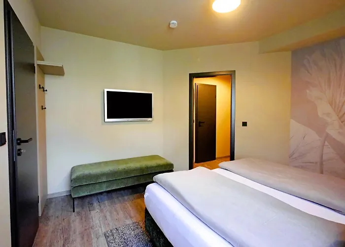 Appartement Edelweiss De Luxe Inkl Wellness-spa Und Meinecardplus